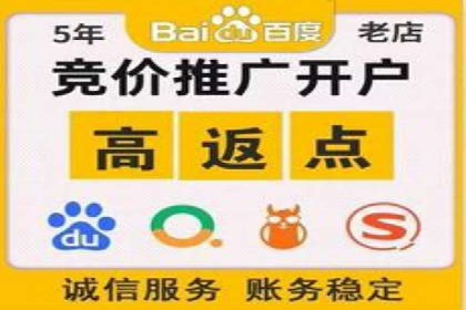 百度竞价排名实战：关键词优化与数据分析案例